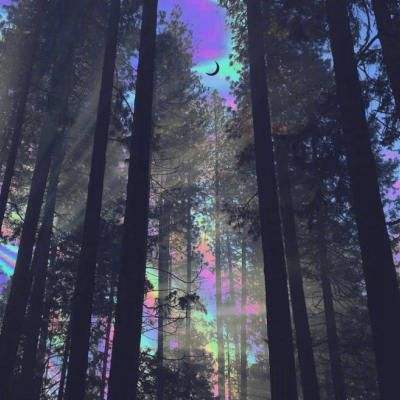 悟空传公益服下载