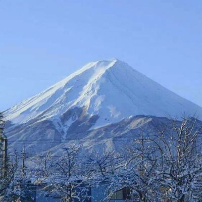 一战成名内购破解版下载