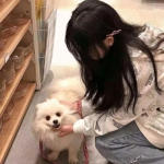 镜花奇缘tv版下载